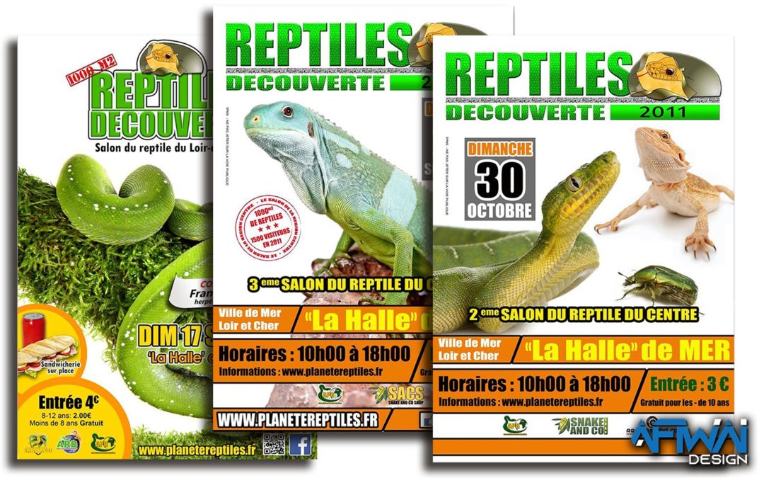 Affiches – Reptiles Découverte
